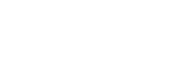 AVL RACETECH